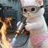 Muscle Cat Dad Drugged At Club Kitten Becomes Miner To Rescue Him And Outsmart The Gang Cat