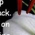 Bag Raiders Way Back Home Lyrics On Screen