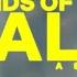 Hope Darst Hands Of The Healer Official Lyric Video