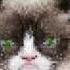 Katy Perry Swish Swish Ft Nicki Minaj AUDIO
