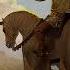 Kingdom Come Deliverance II Soundtrack Intro Opening Music