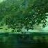 Stefan Gruenwald Lokee Feat Pearl Andersson Wonderful Life Radio Edit