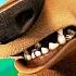 OPEN SEASON Clip The Mighty Grizzly 2006
