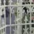 C Est Si Bon Dollhouse A French Cafe By Deb Roberts