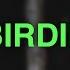 Avril Lavigne Birdie Lyrics