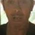 Peter Murphy Seesaw Sway Official Music Video