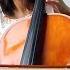 Frank Sinatra My Way CELLO Cover By Vesislava