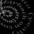 Tinashe No Drama Official Video Lyrics Ft Offset