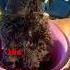 His Name Is Luca Cute Animals Dog Cutedog Puppyplaying Puppy Dogs Viral Trend