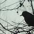 Most Beautiful ATMOSPHERIC BLACK METAL 3