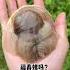 First Time Seeing A Super Big Snail Chinese Mountain Forest Life And Food Moo Tik Tok FYP