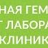 Современная гемограмма Диалог лаборатории и клиники