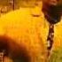 BIGGIE IRIE NAH GOING HOME OFFICIAL MUSIC VIDEO