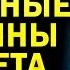 Научные и логичные причины почему мясо свинины запрещено в Исламе Доктор Закир Найк