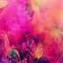 Veona Party Nation Mega Lo Mania Remix