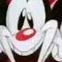Animaniacs Intro Latin American Spanish Fandub