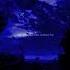 Senorita Shawn Mendes Camila Cabello Lyrics Aesthetic Slowed Speed Up Audio Viral