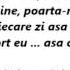 Alina Eremia Poarta Ma Versuri Lyrics