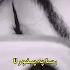 Karankhansong Whatsapp Status