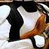 All Guitarists And Clone Troopers Are The Same Star Wars And Guitars Shorts