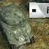 Panzer Elite Action Fields Of Glory National Concern Unreleased Version 4 Bonus Track