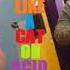 Like Nah BLACOA Lexii Raiinbow And Tony Lam