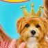 Diana S Ultimate Puppy Birthday Party Filled With Surprises