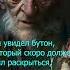 Роза и шипы притча о терпении и уходе мудрость притча Shrots рассказ