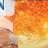 JANUARY 2023 CURRENT AFFAIRS DAILY CURRENT AFFAIRS FOR ALL COMPETITIVE EXAMS VISHAL KHAJURUIA SIR