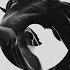 Kaufmann Black Horsey