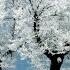 Winter Music Instrumental January