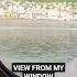 VIEW FROM MY WINDOW Lifeatsea Sailor Seaman Cruiseship Shorts