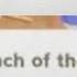 Animal Crossing Slander