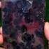 For 100 Would You Use This Blueberry Case