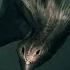 Voices And Sounds Of Malcrow7 Creatures Part 19