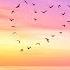 DreamLife Grande Piano True Love Orchestral Mix