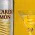 Bacardi Adventures Coconut Limón Big Apple Razz PC Bootleg Continue Game Over