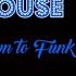 Funky House Mix 2020 Down To Funk Part 3 Block Crown Ladies On Mars Crazibiza