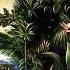 Fleetwood Mac Tango In The Night Full Album 2160p