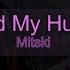 Mitski Me And My Husband Lyrics
