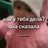 как у тебя дела она сказала