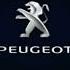 I Accidentally Peugeot 2