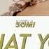 SOMI What You Waiting For Lyrics Video ROM HANGUL ENG