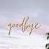 Ptr Goodbye Lofi Hip Hop