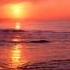 Tiesto Ten Seconds Before Sunrise Craft Integrated Bootleg