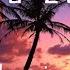 Arizona Zervas Homies Official Lyrics BreakTheKid