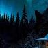The Northern Saga