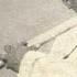 Pannalal Ghosh Raga Shri Indian Classical Bansuri Flute Music