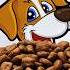Food Theory Can Humans Survive On Pet Food