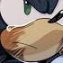 Sonic Comic Dub Tell Me Your Worries